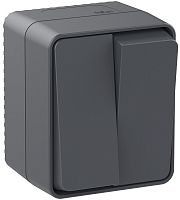 Выключатель накладной Systeme Electric AtlasDesign Profi54 2-кл. IP54 антрацит картинка